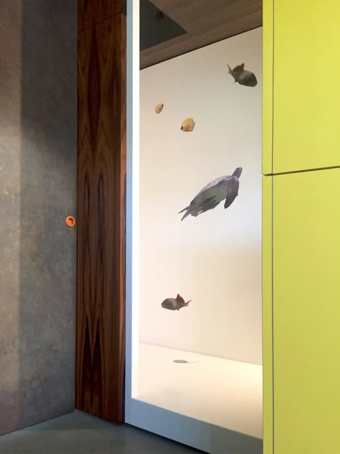 douche detail-Integraal ontworpen roomdivider Palissander met naadloze witte Corian douche - Typisch Hout